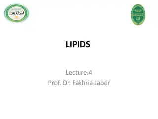 Understanding Lipids: Types, Sources, and Functions