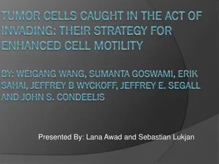 Tumor Cell Invasion Strategies and Research Methods