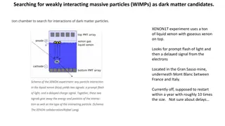 Unveiling Dark Matter Mysteries: WIMPs, Neutrinos, and Axions