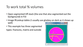 Advanced Rock Volume Segmentation Guidelines