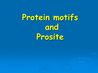 Understanding Protein Motifs and Patterns