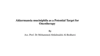Role of Akkermansia muciniphila in Cancer and Immune Modulation