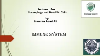 Understanding the Role of Macrophages in the Immune System
