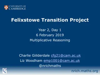 Exploring Mathematics Education through Felixstowe Transition Project