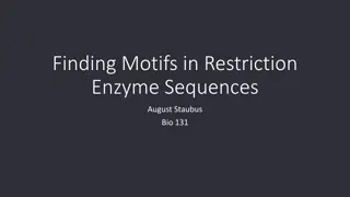 Uncovering Motifs in Restriction Enzyme Sequences and Protein Structures