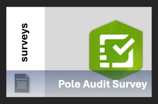 Empowering Pole Audit Management Team with Advanced Tools