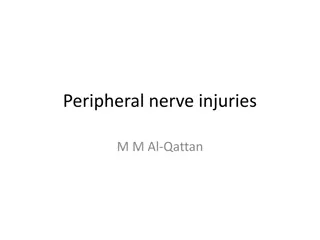 Understanding Brachial Plexus Injuries and Nerve Damage