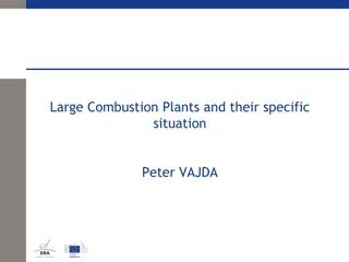 Understanding Large Combustion Plants Directive