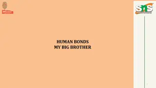 Human Bonds: The Tale of Sibling Dynamics