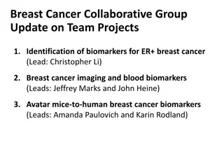 Breast Cancer Collaborative Group Update on Projects