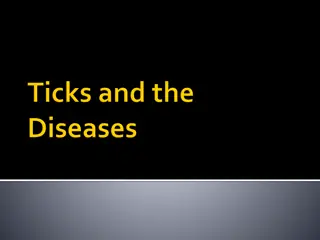 Tick-Borne Diseases: Identification and Risks