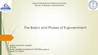 Understanding E-Government: Basics, Types, Phases, and Impacts