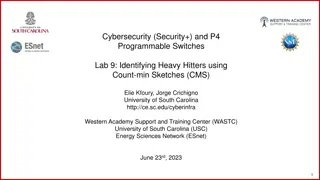 Identifying Heavy Hitters with Count-min Sketches in P4 Programmable Switch Lab