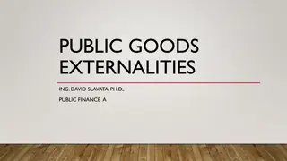 Understanding Public Goods, Externalities, and Market Failures in Economics