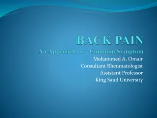 Understanding Low Back Pain: Causes, Diagnosis, and Management