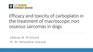 Efficacy and Toxicity of Carboplatin in Treating Non-Osseous Sarcomas in Dogs