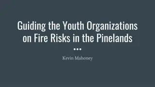 Understanding Forest Fire Risks in Pinelands: Causes, Impacts, and Solutions
