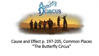Understanding Cause and Effect in The Butterfly Circus Film