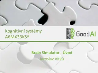 Understanding Brain Simulator Learning Techniques