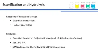 Esterification and Hydrolysis Reactions: Examples and Applications