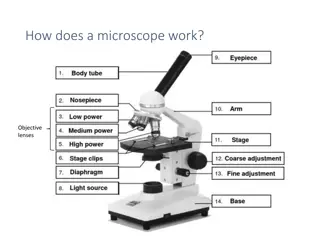 Understanding Microscopes and Cellular Structures for Biology Enthusiasts