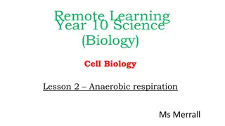 Understanding Anaerobic Respiration in Cell Biology Lesson