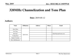 IEEE 802.11-19 EHT Tone Plan for 320MHz Channelization