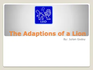 Fascinating Lion Adaptations and Characteristics Explored