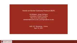 Hands-On BGP Lab Series and FRR Introduction