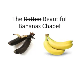 Beautiful Acts of Kindness: A Visual Journey of Love and Compassion