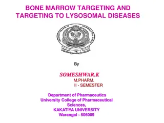 Bone Marrow Targeting and Drug Delivery: A Comprehensive Overview