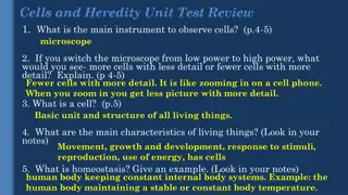Understanding Cells and Heredity: Test Review Insights