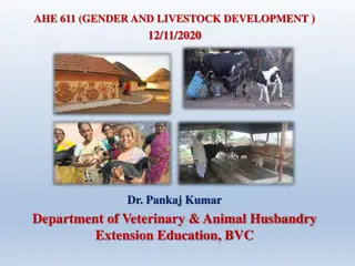 Empowering Women in Agriculture: A Comprehensive Overview