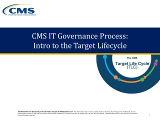 CMS IT Governance Process: Intro to the Target Lifecycle