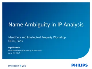 Intellectual Property Workshop on Name Ambiguity in IP Analysis Identifiers