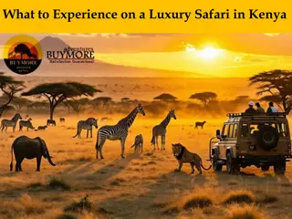 What to Experience on a Luxury Safari in Kenya