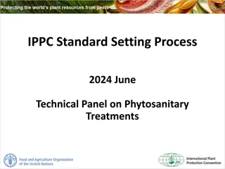 IPPC Standard Setting Process: Procedures and Committees Explained