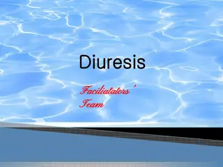 Understanding Diuresis Mechanisms through Experimental Groups Analysis