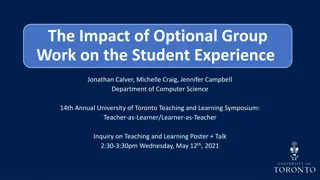 Impact of Optional Group Work on Student Experience in Computer Science Courses
