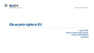 Geographical Indications as Prior Rights in EU