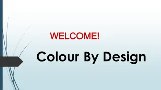 Best House Painting in Bilgola Beach