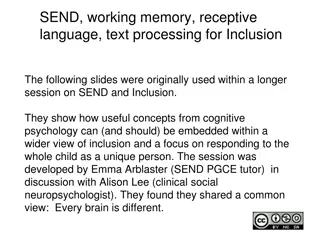 Embedding Cognitive Concepts for Inclusion: Understanding SEND and Learning Disabilities