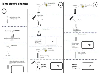 Chemical Reactions Mini-Practical Experiments