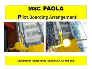Secured Ladder and Railing Boarding Arrangement on MSC PAOLA