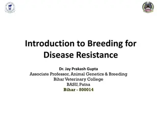 Understanding Breeding for Disease Resistance in Animals