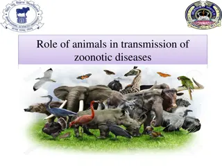 Role of Animals in Zoonotic Disease Transmission