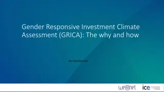 Gender-Responsive Investment Climate Assessment (GRICA) Process Overview