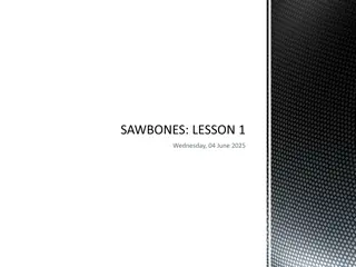 Exploring the Themes and Characters in 'SAWBONES: Lesson 1' - Reading Analysis & Project Insights