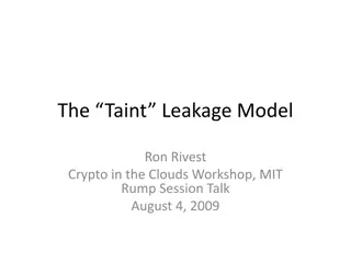 Taint Leakage Model in Software Security