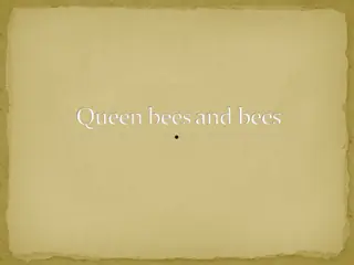 The Fascinating World of Bees: Queen Bees, Honey Bees, and More